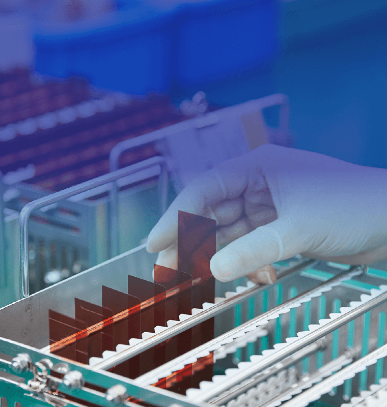 紫外～赤外域まで