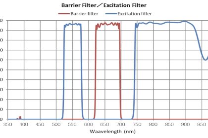 蛍光フィルタと励起(れいき)フィルタ