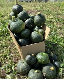 秋のめぐみに感謝！！