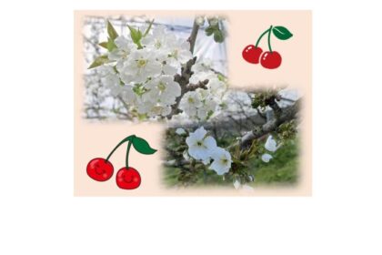 2025年ゴールデンウイーク休業のお知らせ